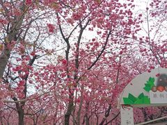 -昆明动物园