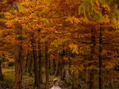 -南京市无想山景区