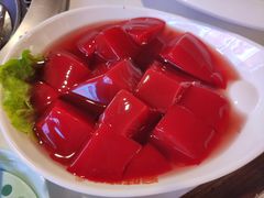 鲜鸭血-晓宇重庆火锅(赛格国际购物中心店)