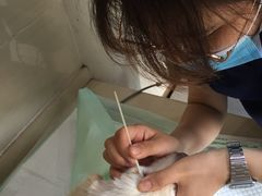 -爱侣·安琦尔宠物医院·中兽医针灸·心内科·狂犬免疫点(宝山区院)