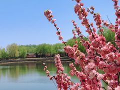 -永定河休闲森林公园