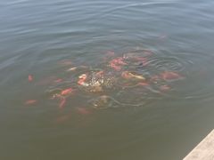 -前关湿地公园