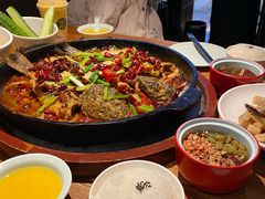 -老板恋上鱼(高新万达店)