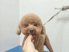 -芭比堂动物医院广州顽皮分院