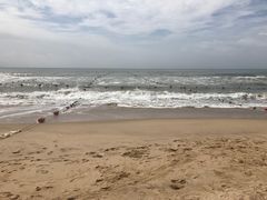 -汕头中海黄金海岸水上乐园