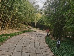 -上海方塔园