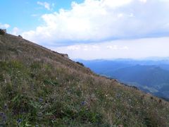 -白草畔自然风景区