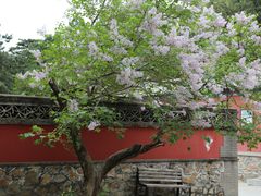 -潭柘寺景区