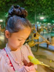 点击看大图 -酷嗒动物文化乐园(cutezoo西溪乐天城店)