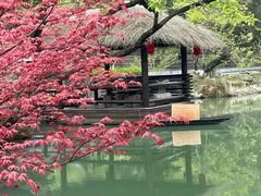 -老李家土菜馆·安吉地标美食