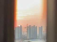 -御池园(顾村公园店)