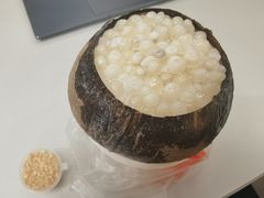 -椰爺爺·椰子冻砵仔糕