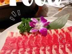 -禄婶鸡煲·打边炉