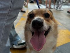 -观澜湖新城运动奥莱区