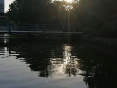 -森林公园(尖草坪区)
