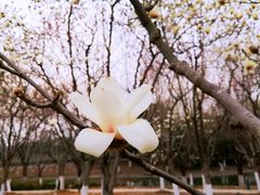 -白塘生态植物园