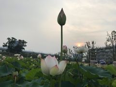 -南京医科大学(江宁校区)