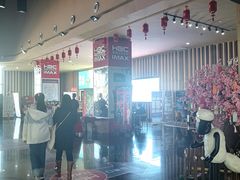 -华谊兄弟影院(IMAX洋桥店)
