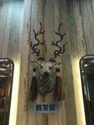 -韩鑫烫染接发·收长头发