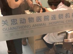 -瑞派·关忠动物医院·异宠专科·犬猫肿瘤·皮肤专科(望京店)