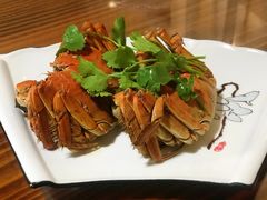 -呼吸森林·生态农庄农家乐私房菜