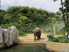 -宁波野生动物园