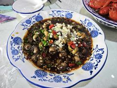 -呼吸森林·生态农庄农家乐私房菜