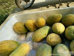 -龙谷湾旅游休闲度假区