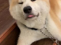 -YCHL Studios健身工作室(市二宫店)