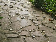-白马涧龙池景区