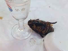 -黄沙水产交易市场