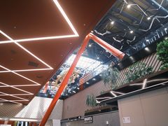 -谢列梅捷沃国际机场