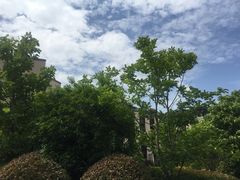 -上海崇明金茂凯悦酒店