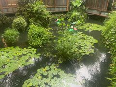 -大妙火锅·非物质文化遗产(东湖公园店)