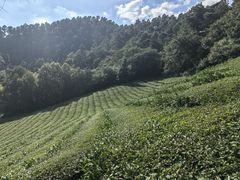 -敬亭山风景名胜区