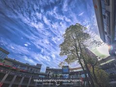 -浦江城市生活广场(江月路店)