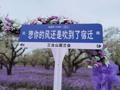 -江苏三台山国家森林公园