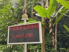 -通灵大峡谷