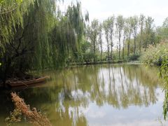 -溱湖国家湿地公园