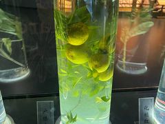 -广东中医药博物馆