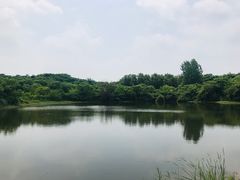 -盘龙城国家考古遗址公园