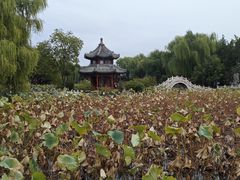 -莲池书院博物馆