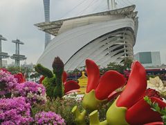 -海心沙亚运公园