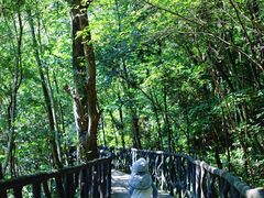-龙湾潭国家森林公园