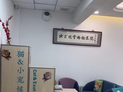 -北京观赏动物医院·24小时大型综合·猫专科·异宠专科