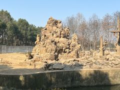 -合肥野生动物园
