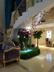 点击看大图 -伽美医疗美容医院·高端抗衰中心