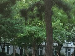 -东北大学(南湖校区)