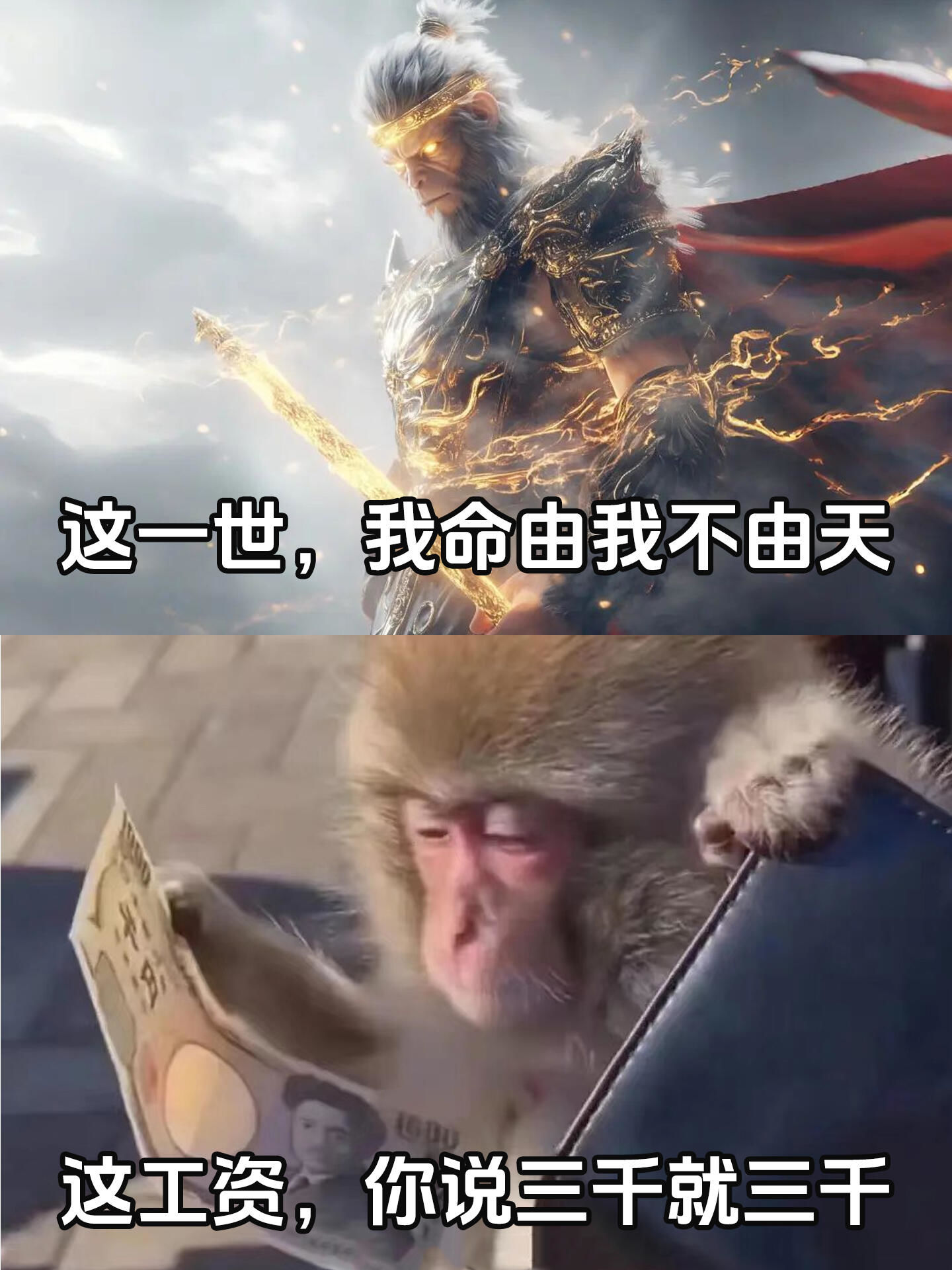 n这一世,我命由我不由天
这工资,你说三千就三千