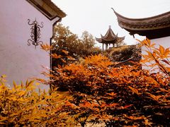 -芥子园